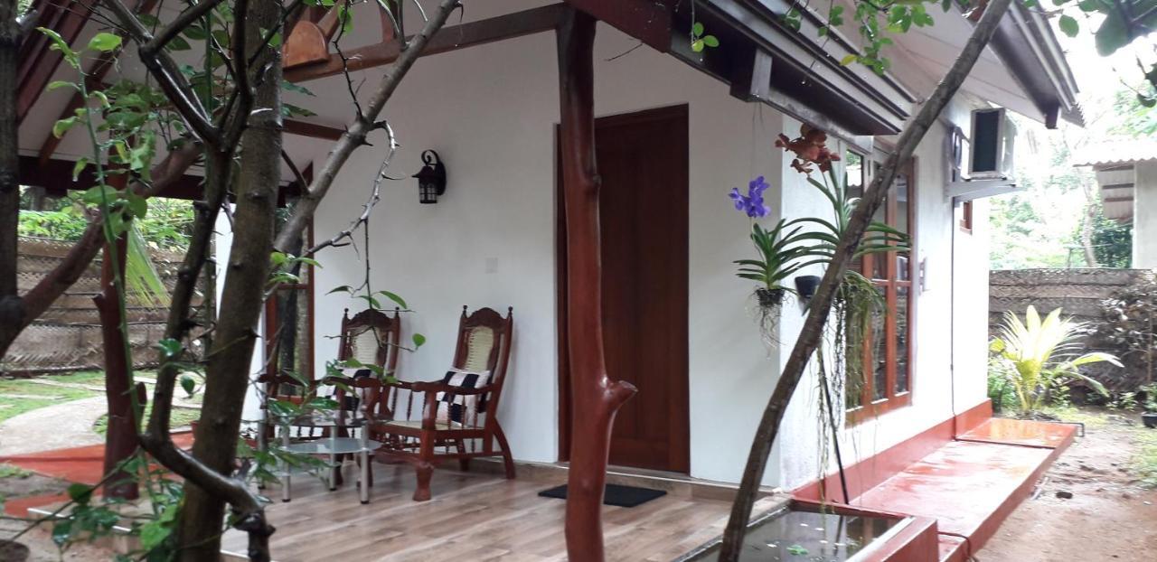 אנוראדפורה Yaluwa Tourist Rest & Cooking Class מראה חיצוני תמונה